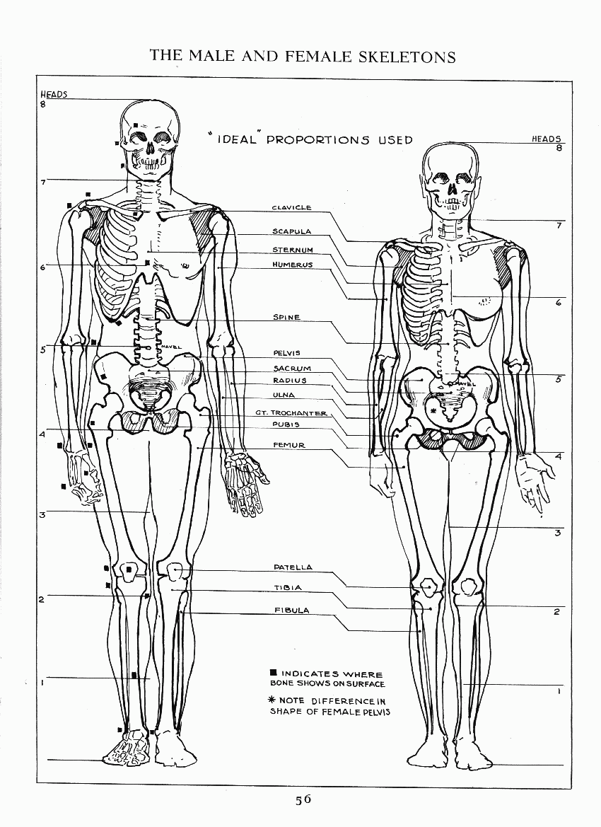 How to Drawing The Figure - photo 49