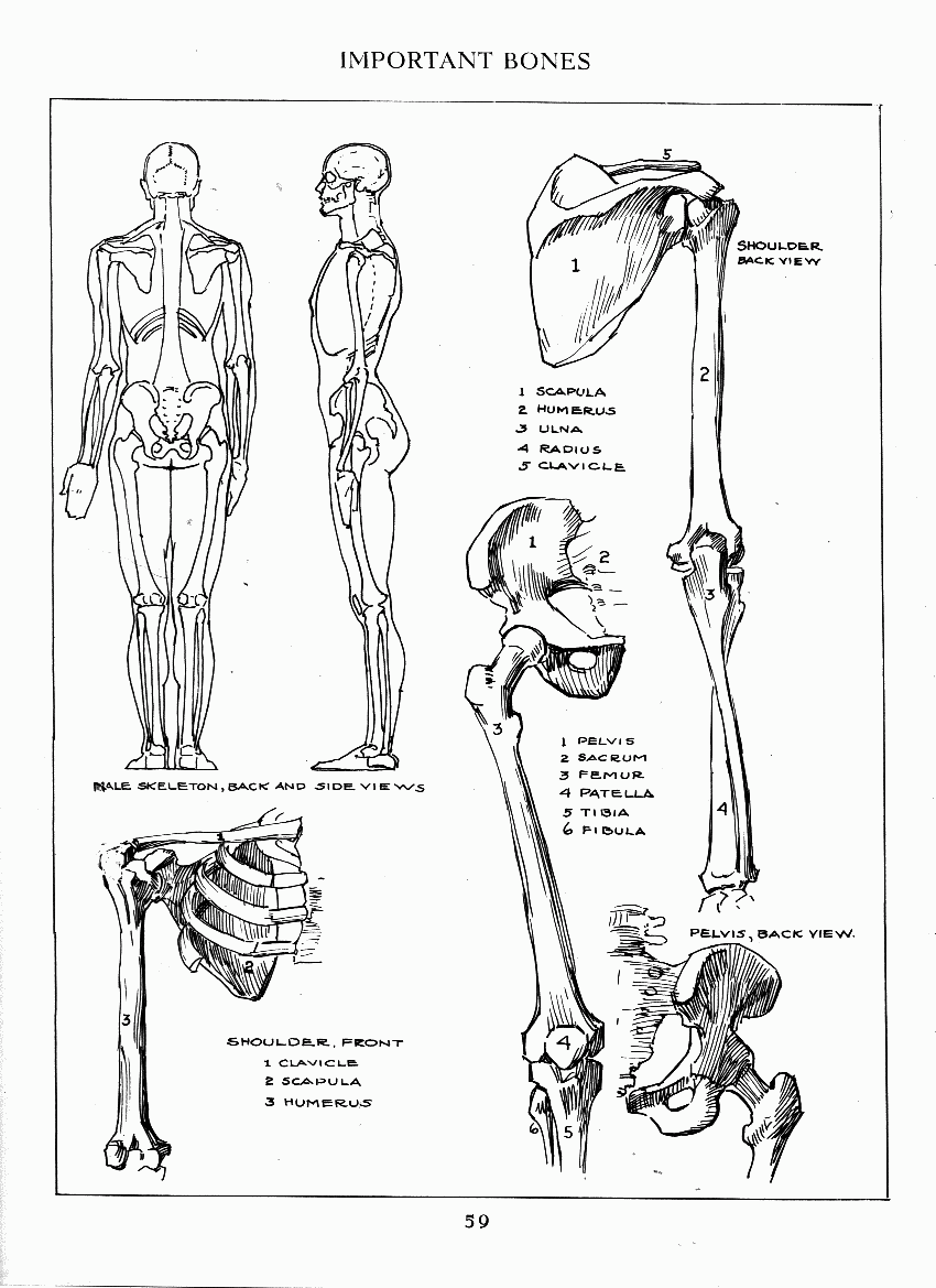 How to Drawing The Figure - photo 52