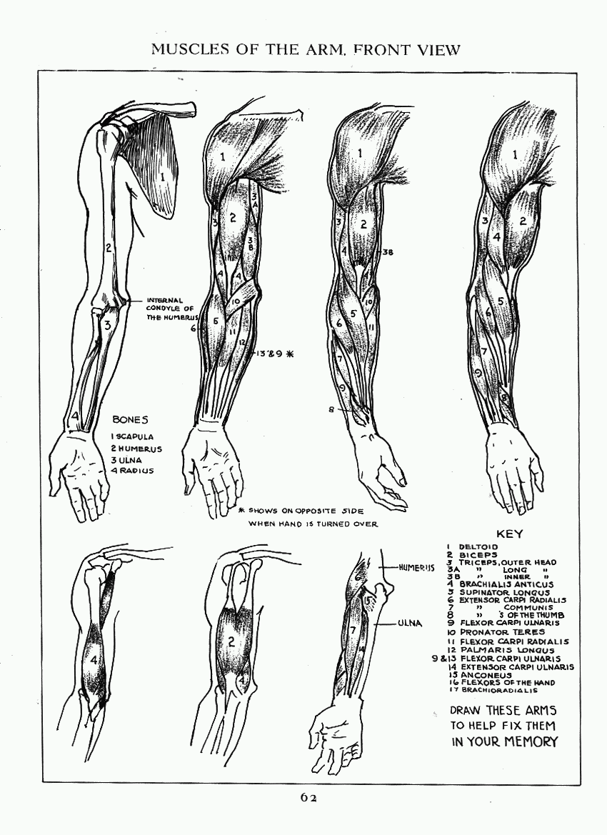 How to Drawing The Figure - photo 55