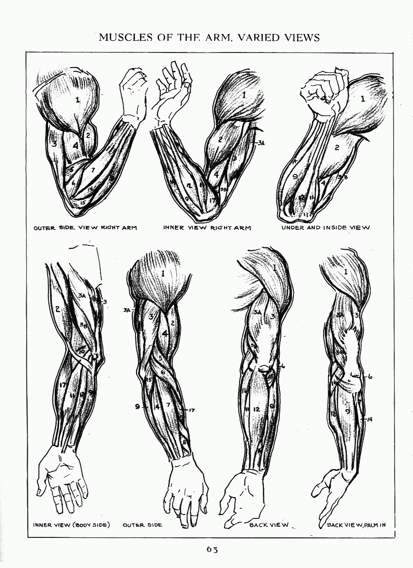 How to Drawing The Figure - photo 56