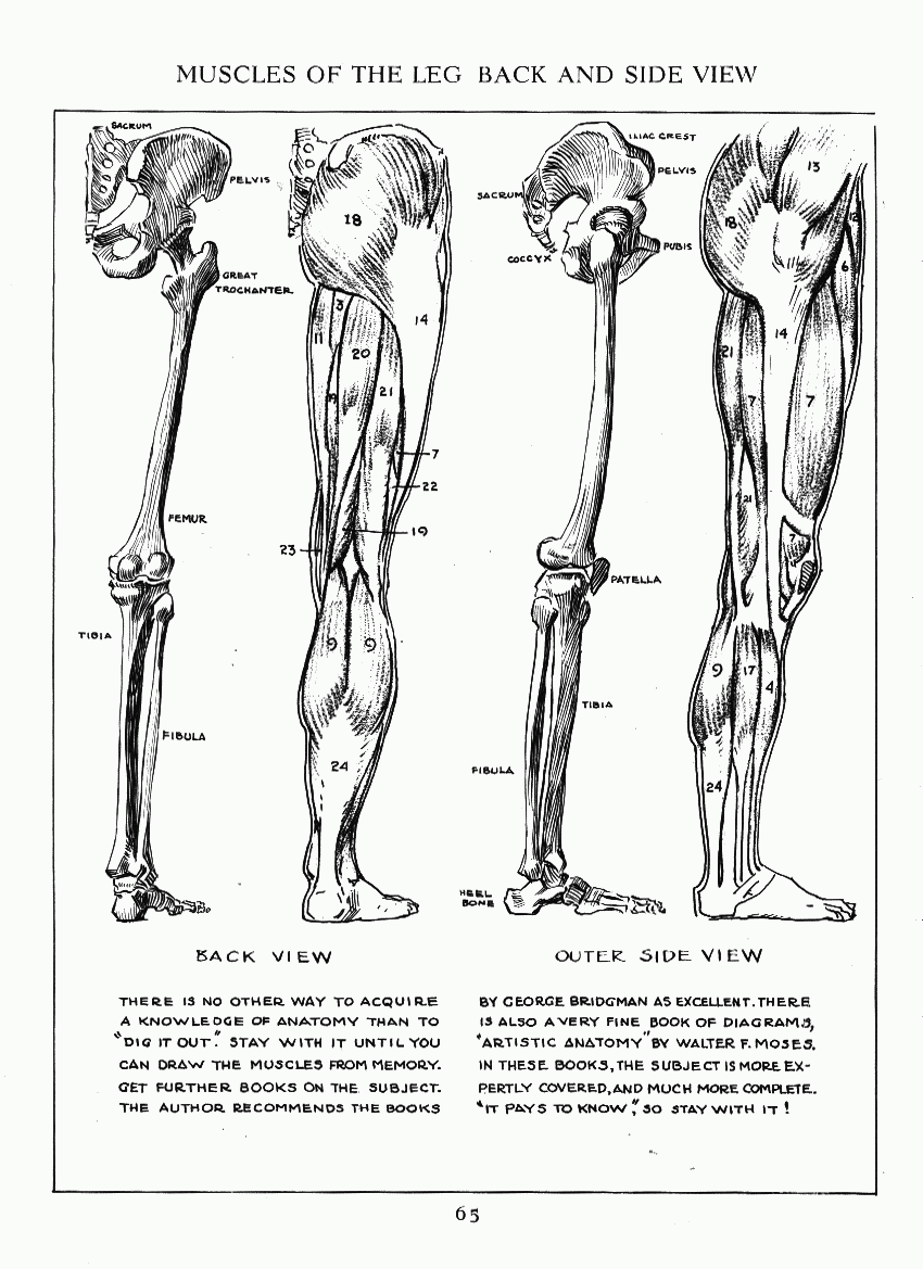 How to Drawing The Figure - photo 58