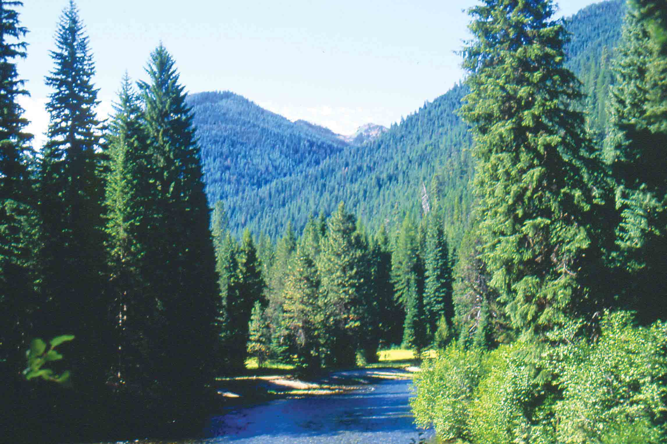 Minam River at Big Burn Wallowa Mountains Standley Cabin Wallowa - photo 17