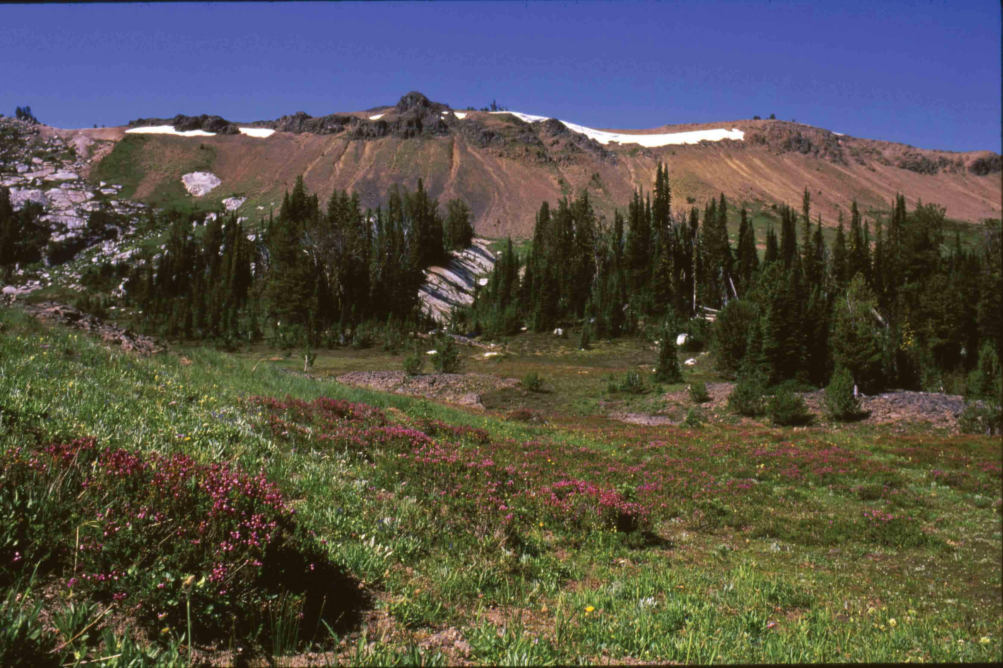 Sturgill Basin Washboard Ridge Trail Wallowa Mountains Northeast side - photo 19