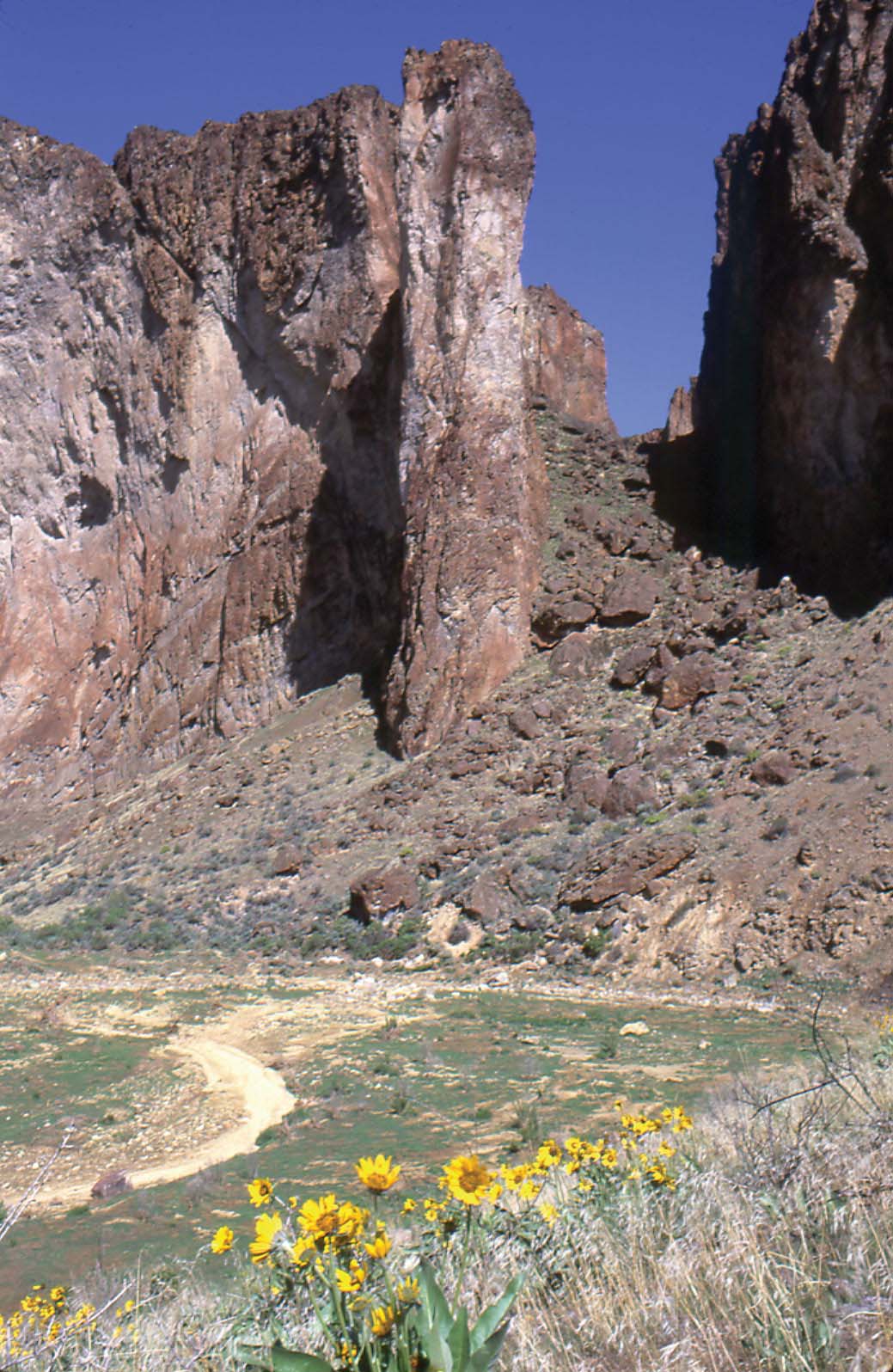 In Three Fingers Gulch below Shadscale Flat Near the confluence of - photo 27