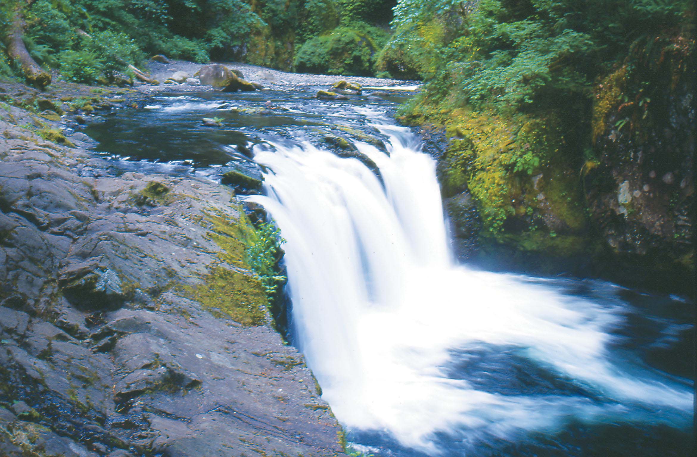 Lower Punch Bowl Falls Eagle Creek Columbia River Gorge Mount Beachie - photo 4