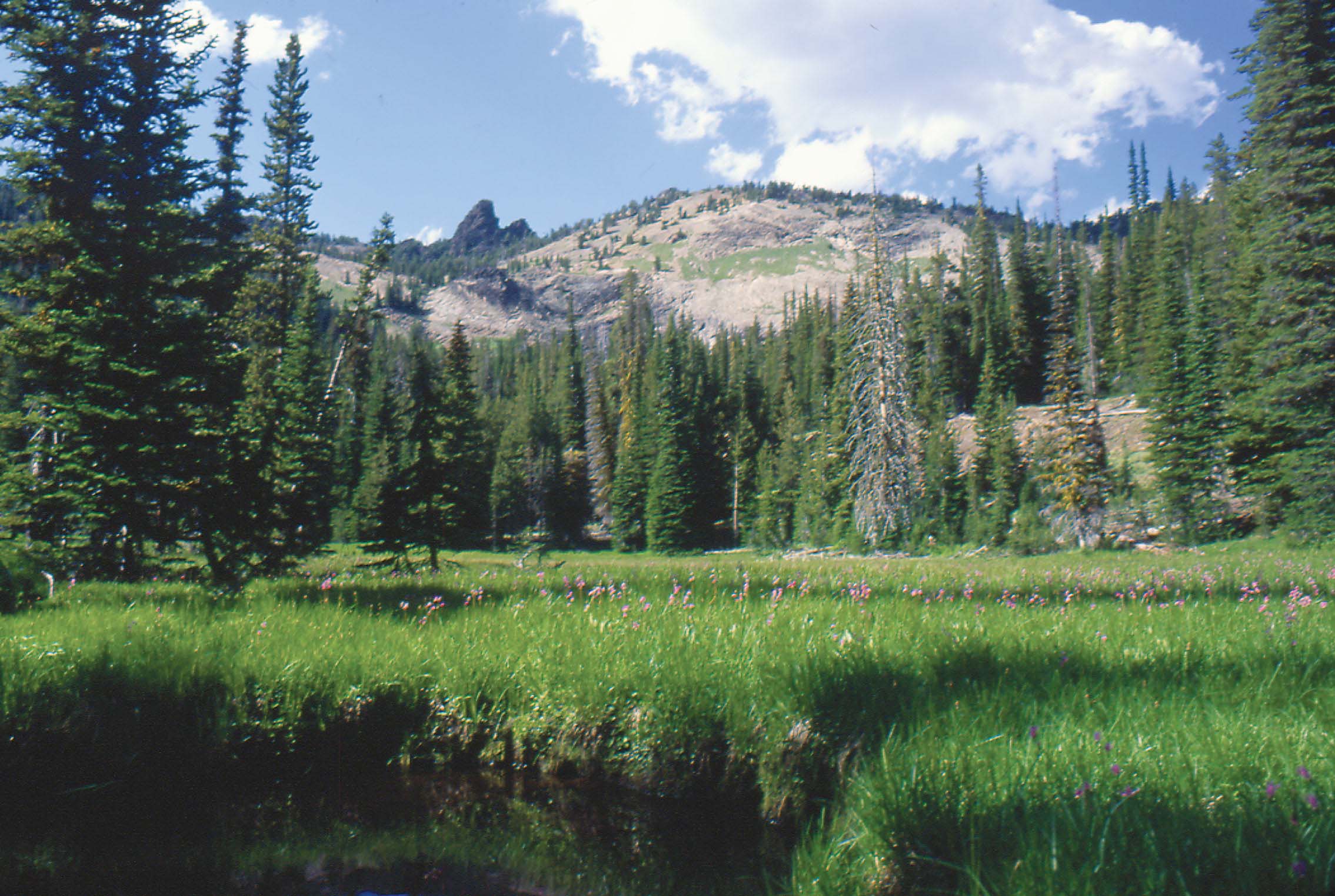 Meadow below High Lake Strawberry Mountain Wilderness Ridge over Upper - photo 14