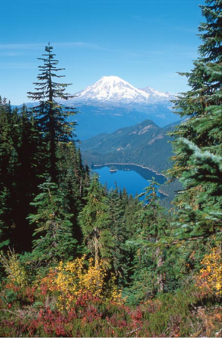 Mount Rainier and Packwood Lake from Lily Basin Trail Goat Rocks Wilderness - photo 5