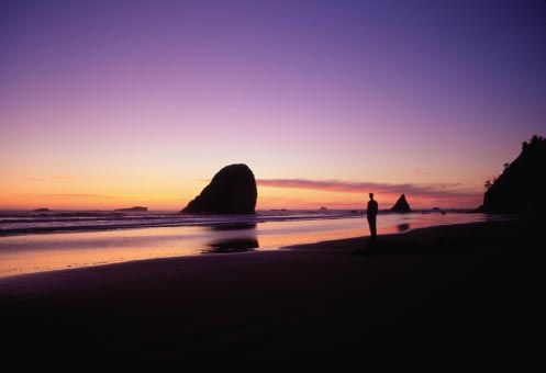 Sunset near Cedar Creek Olympic National Park Pinnacle south of - photo 6