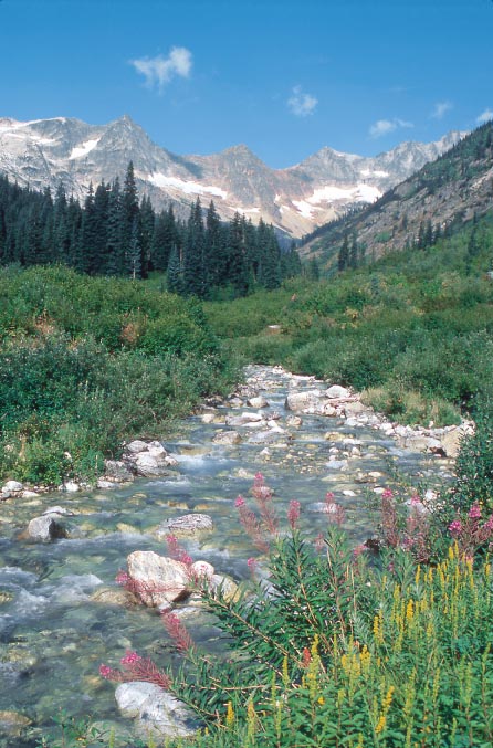 North Fork Bridge Creek North Cascades National Park Crater and Jack - photo 12