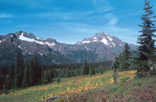 Crater and Jack Mountains from above Devils Park Pasayten Wilderness - photo 13