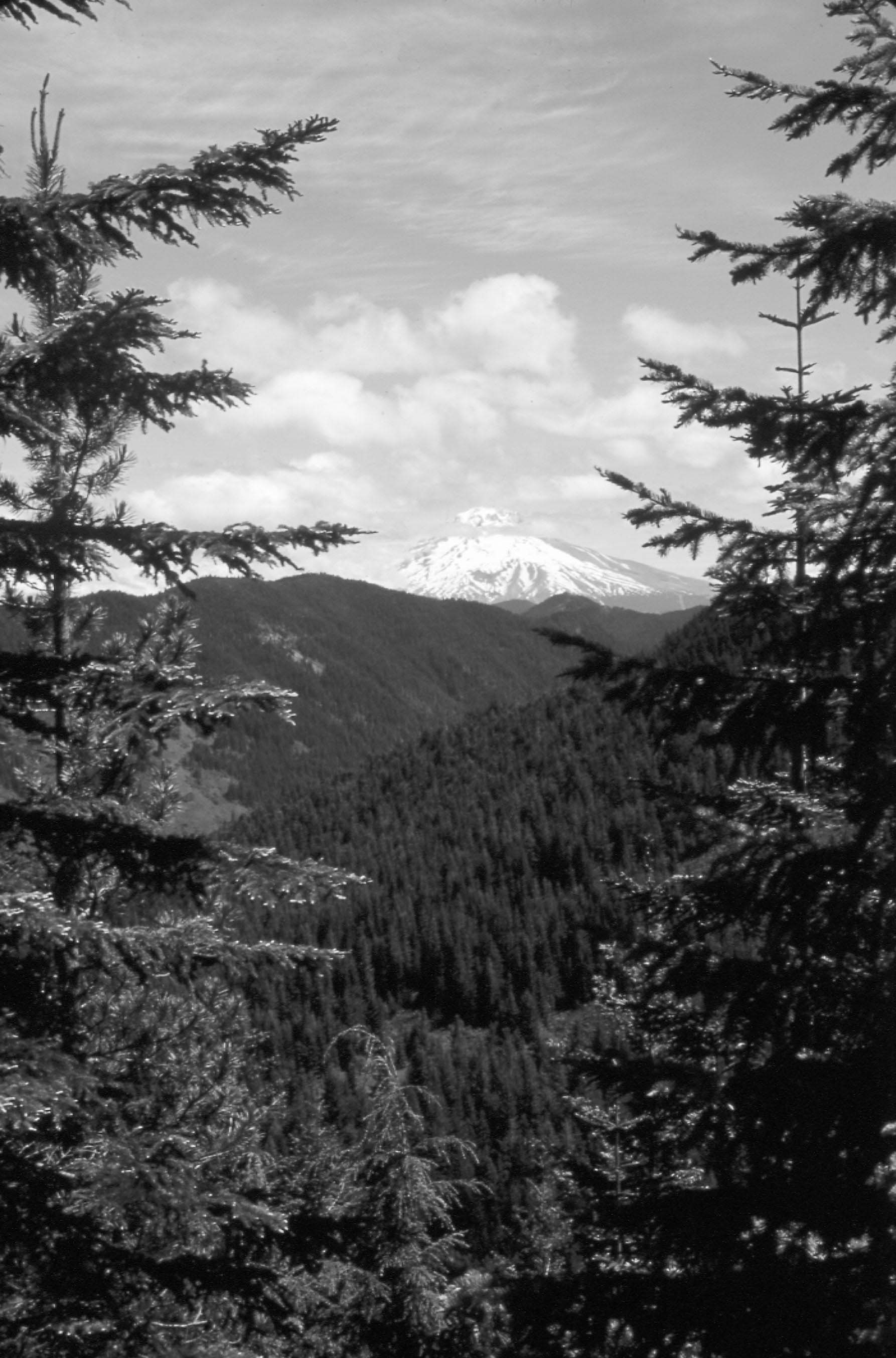 Mount Hood from the ridge above Shining Lake Introduction A s a child I - photo 7