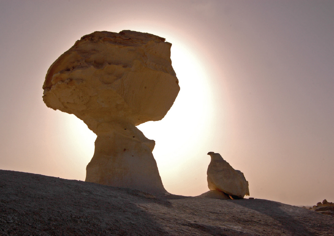 Backlighting of setting sun in the White Desert of Egypt HOW TO USE THIS BOOK - photo 4