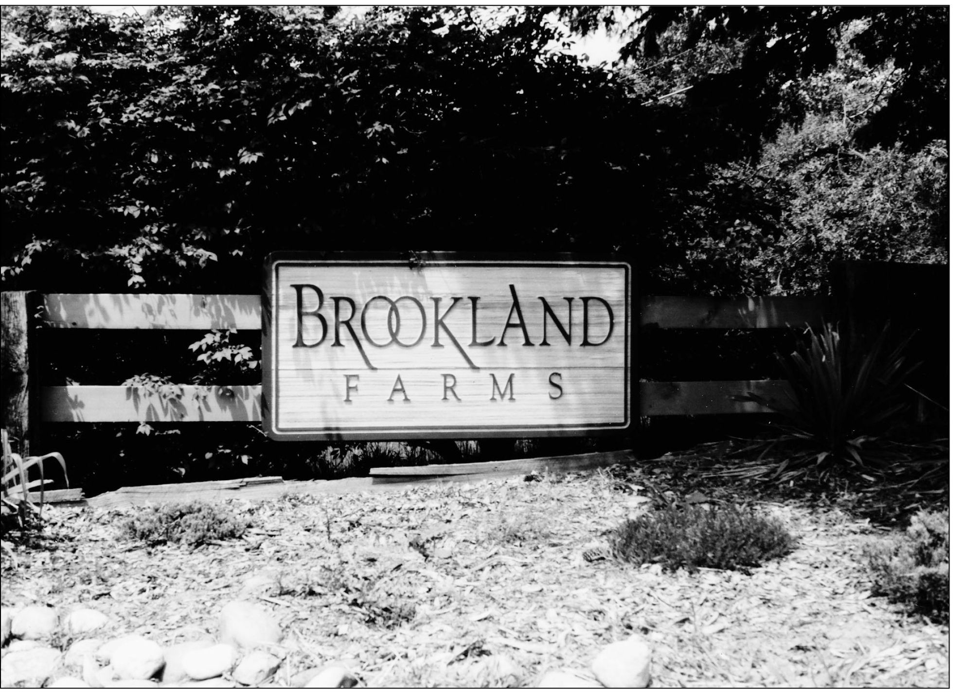 Brookland Farms Subdivision is Novi Township Nestled among wooded lots the - photo 10