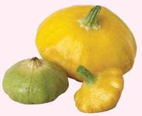 pattypan squash To Prepare the Veggies and Bread Place the broccoli and - photo 8