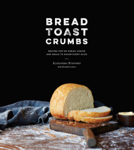 Lowery Elizabeth Bread, toast, crumbs: recipes for no-knead loaves and meals to savor every slice