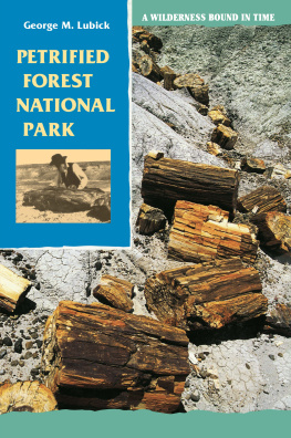 Lubick ... - Petrified Forest National Park A Wilderness Bound in Time