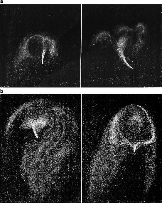 Fig 12 a b Observations of jets from Comet Swift-Tuttle From Amde - photo 2