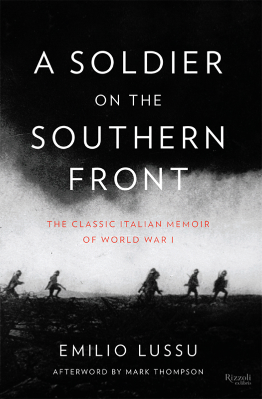 Praise from The New York Times for A Solider on the Southern Front As a - photo 1