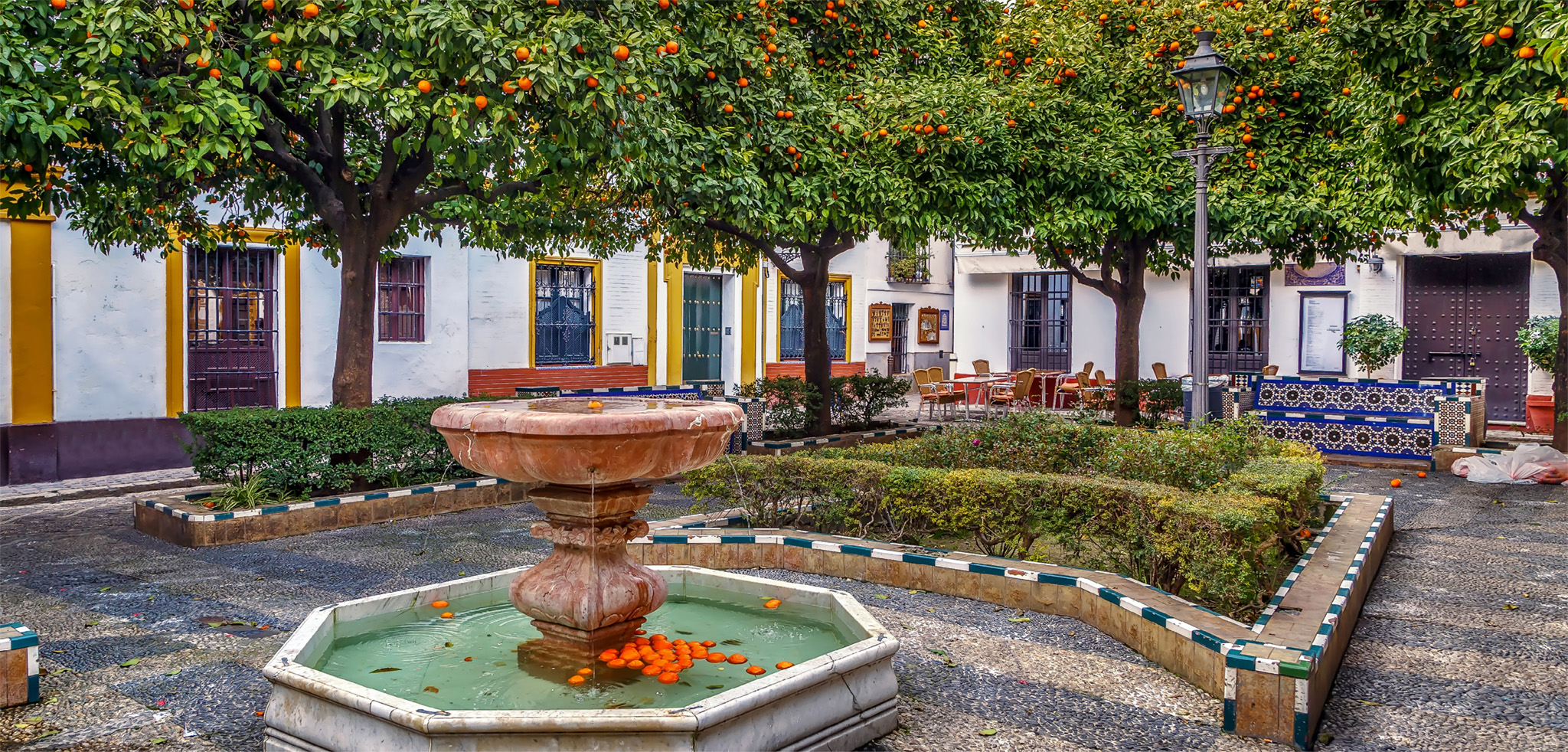 t The heavenly scent of orange blossoms envelops Andalucas cities in spring - photo 10