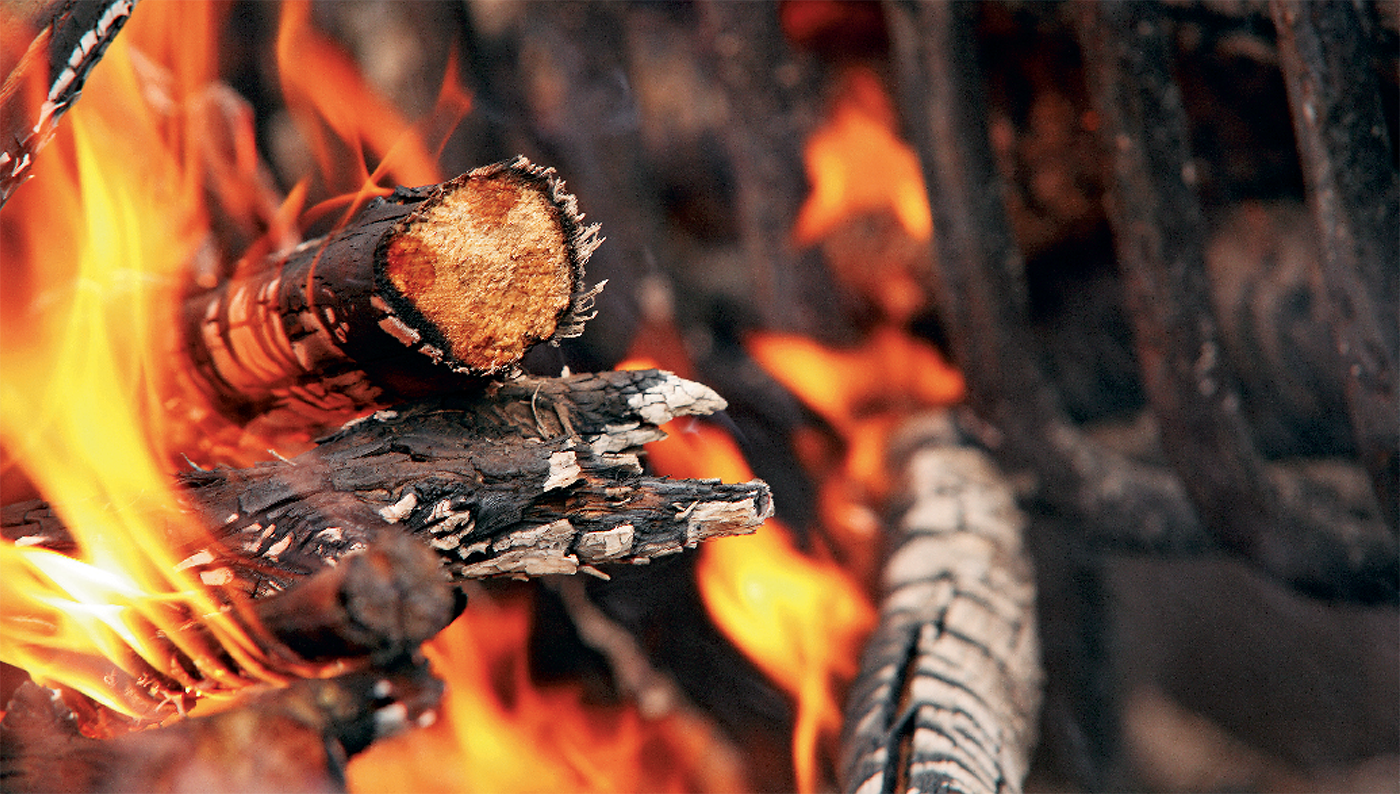 SEVEN FIRES Grilling the Argentine Way Francis Mallmann WITH PETER KAMINSKY - photo 2