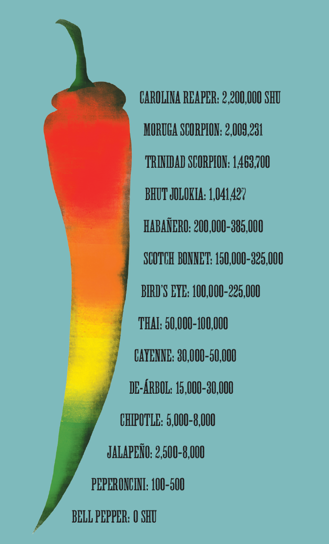 THE 10 HOTTEST CHILLIES IN THE WORLD CAROLINA REAPER 2200000 SHU - photo 7