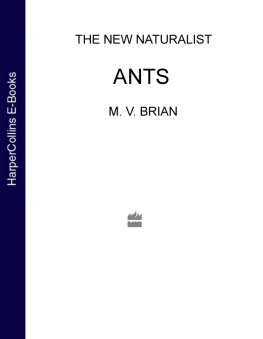 M. V. Brian - Ants