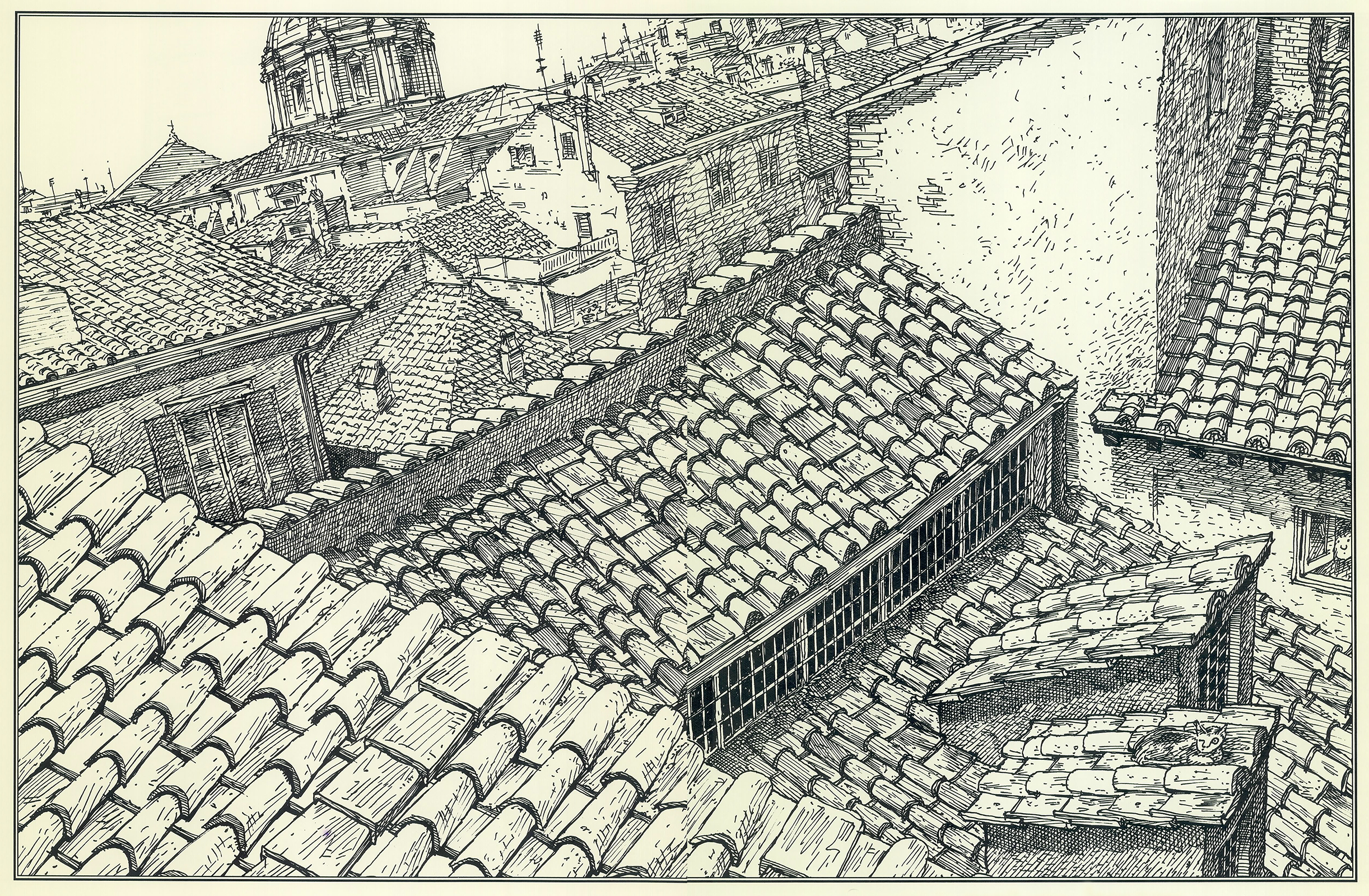 Sun-warmed terra-cotta rooftops are tempting places to land But a pigeon must - photo 11