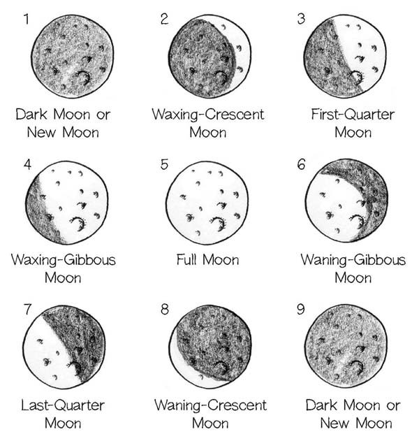 In the Southern Hemisphere the above is reversed so that a waxing-crescent - photo 5