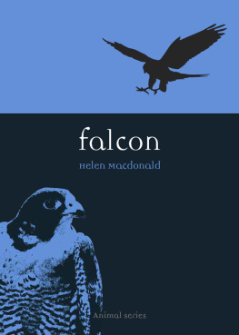 Macdonald - Falcon