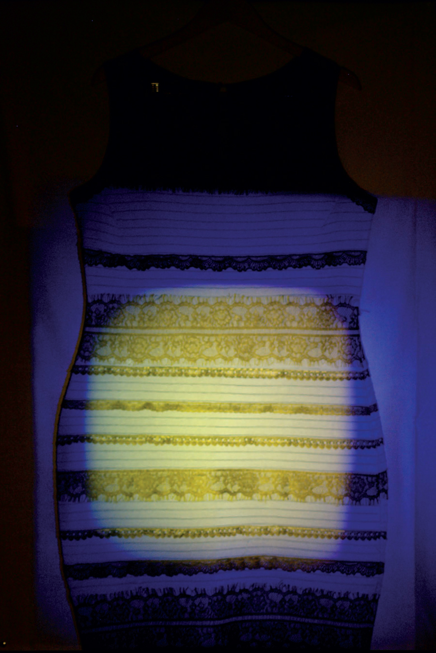 A re-creation of The Dress shows the effect of ambiguous illumination on the - photo 4