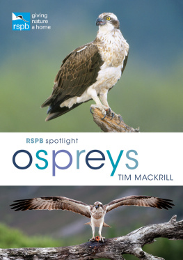Mackrill - RSPB Spotlight Osprey