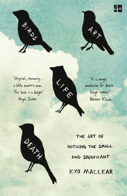 Maclear - Birds art life death: the art of noticing the small and significant