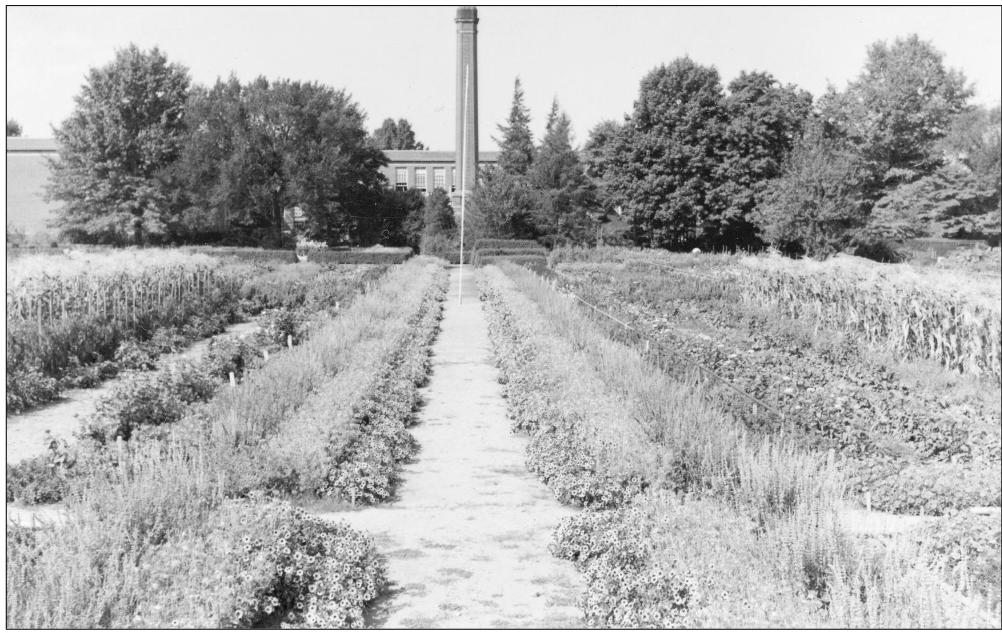 The Benjamin Franklin tract garden located on 1905 Spring Road was one of the - photo 7