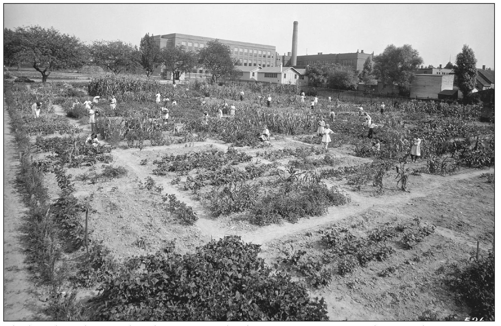 The board of education bought 11 acres of land from a private farmer who owned - photo 8