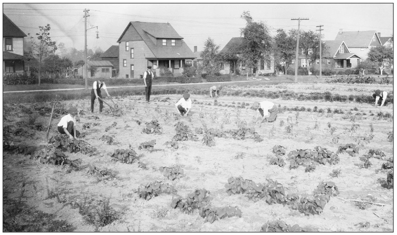 In the early years of the Benjamin Franklin garden in the days before - photo 9