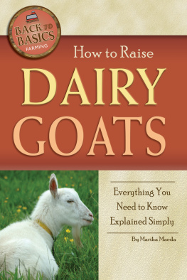 Maeda - How to raise dairy goats: everything you need to know explained simply