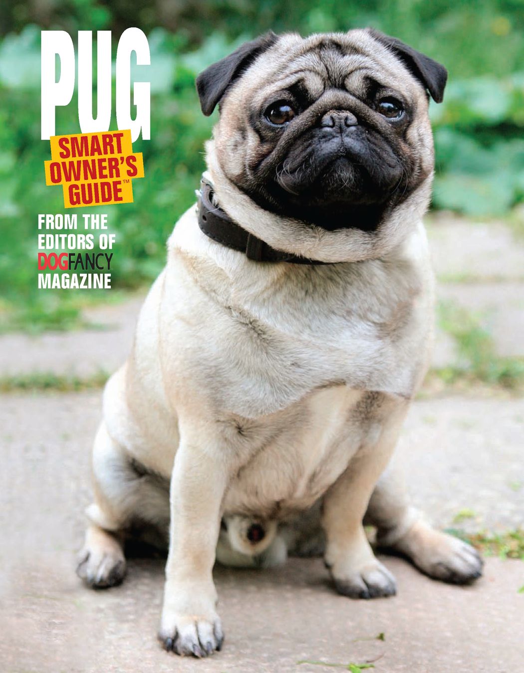 Table of Contents FOREWORD K9 EXPERT EDUCATION If you are considering a Pug - photo 2