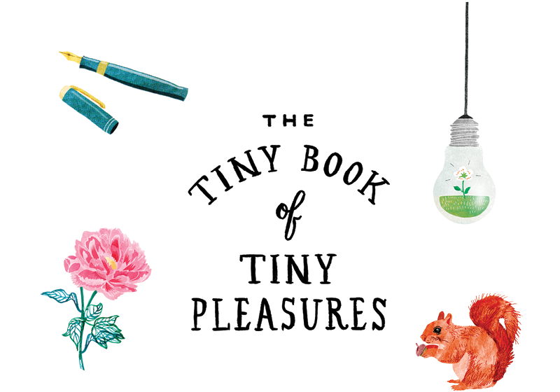 The Tiny Book of Tiny Pleasures - image 2