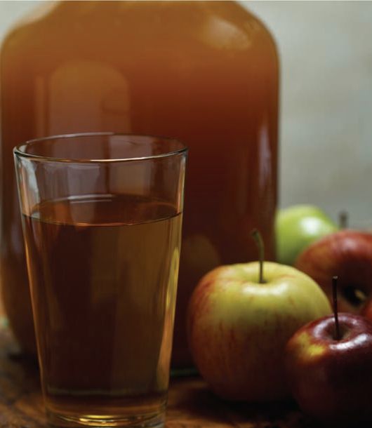 Hard cider is simple to make from apple or other juices Basic Hard Cider - photo 4