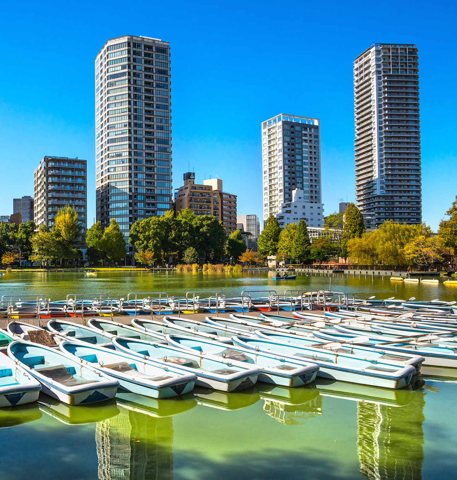 Ueno Park is a green oasis overlooked by modern towers Afternoon Ride the - photo 6