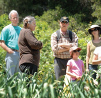 Janet Brown of Allstar Organics leads a tour of her farm in Lagunitas sponsored - photo 8