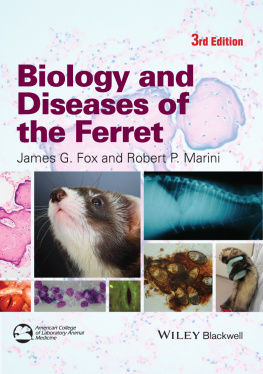 Marini Robert P. - Biology and Diseases of the Ferret