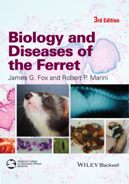 Marini Robert P. Biology and Diseases of the Ferret