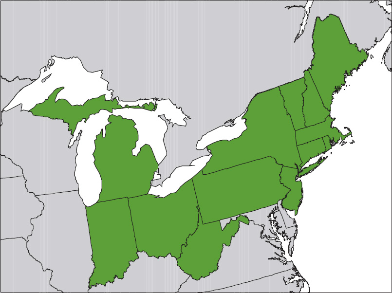 The Northeast as defined by the World Geographical Scheme for Recording Plant - photo 3