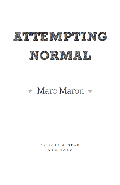 Attempting Normal is a work of nonfiction Some names and identifying details - photo 4