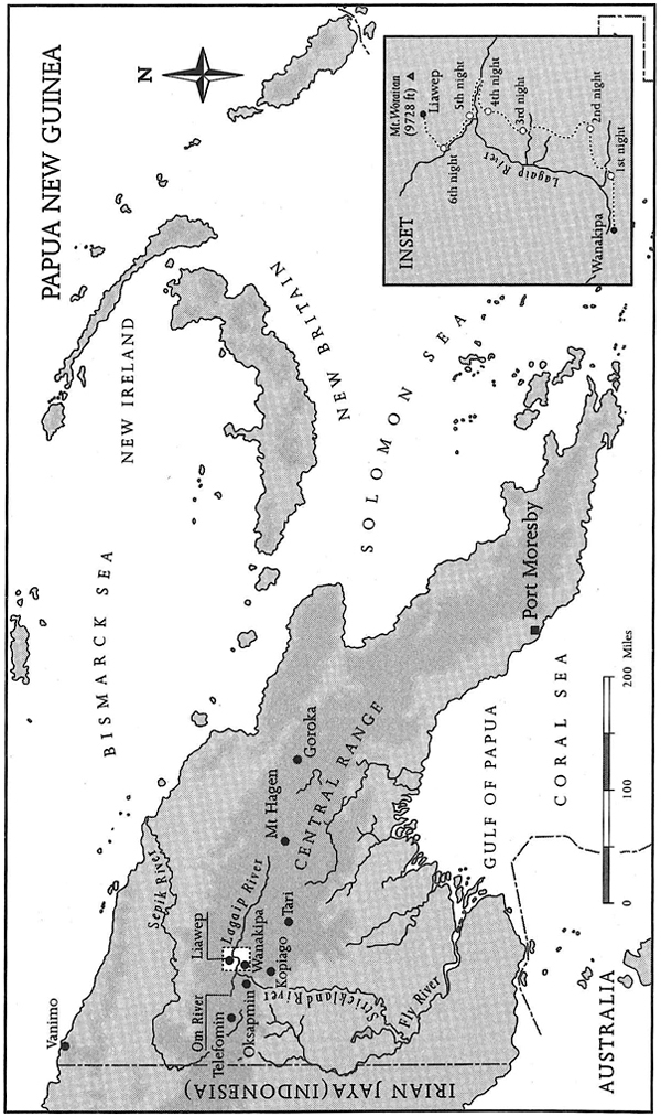 Two years before this story begins the Liawep were a lost tribe There were - photo 3