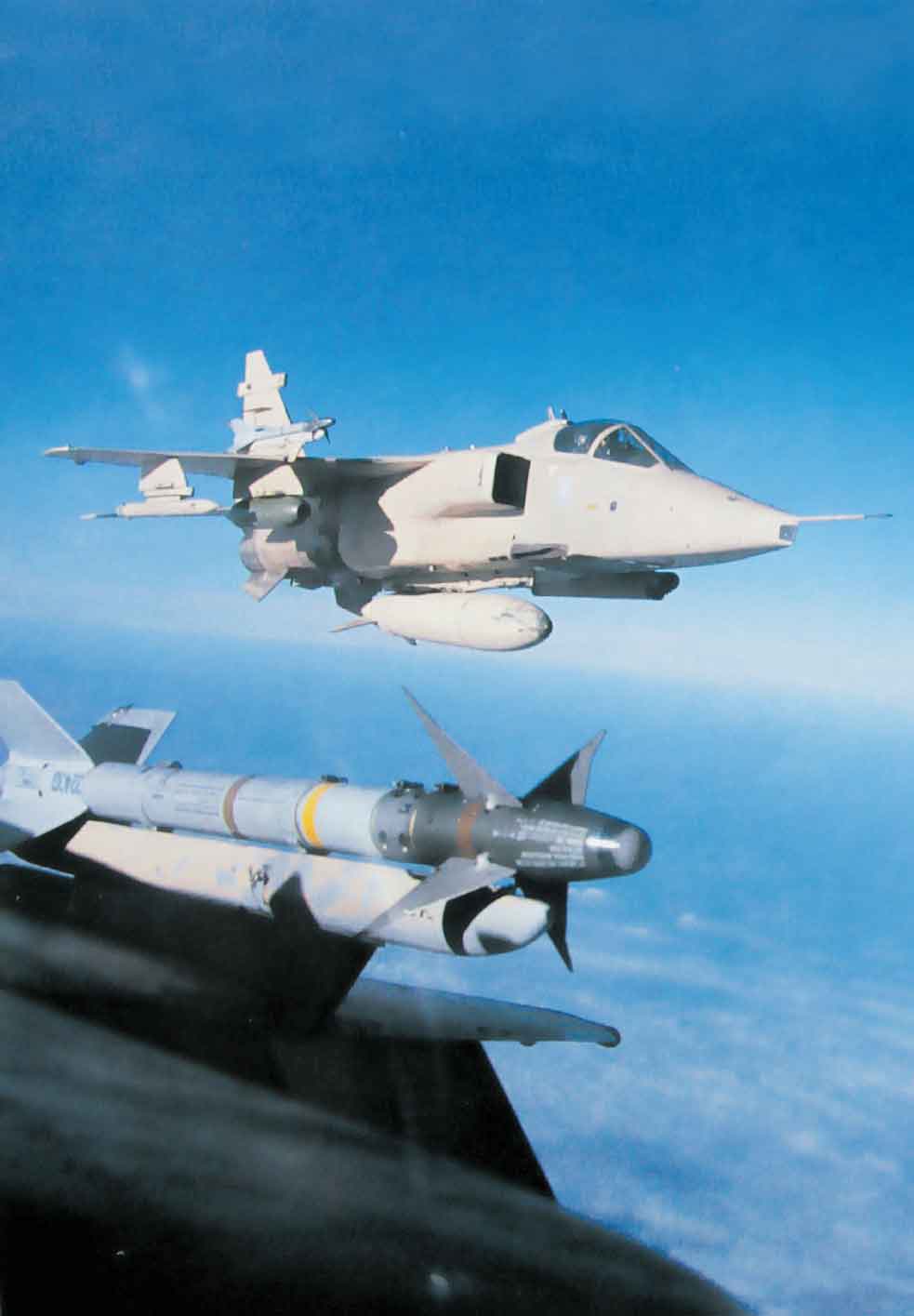 The Jaguars Finest Hour Gulf War 1991 These Desert Cats are armed with - photo 1