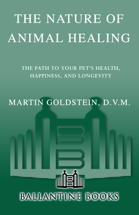 A COMPREHENSIVE GUIDE FOR EVERY ASPECT OF HOLISTIC MEDICINE Cat Fancy - photo 1