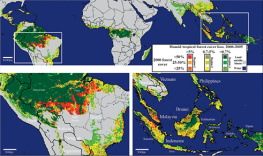 Martin On the edge: the state and fate of the worlds tropical rainforests: a report to the Club of Rome