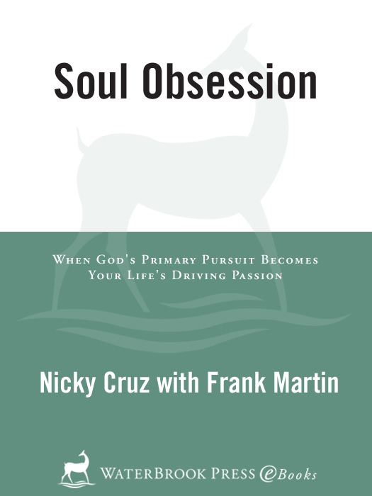 Praise for Soul Obsession Soul Obsession is a call to arms for the body of - photo 1